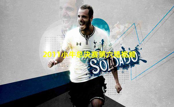 2011小牛总决赛第六场视频