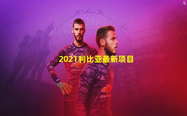 2021利比亚最新项目