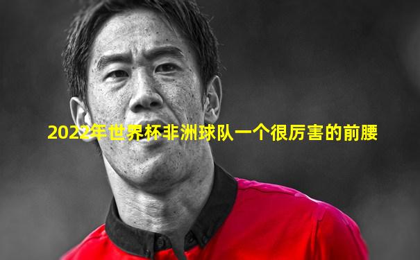 2022年世界杯非洲球队一个很厉害的前腰