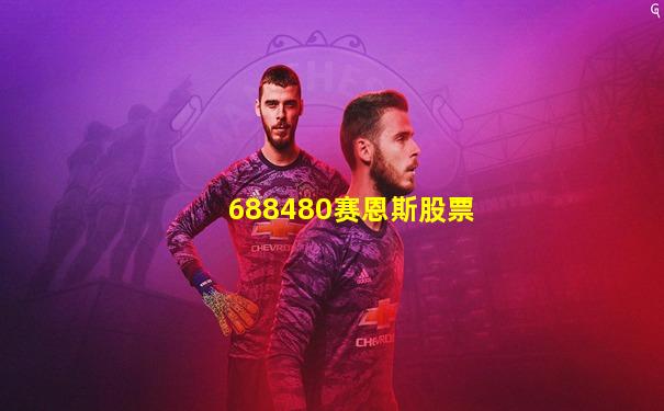 688480赛恩斯股票