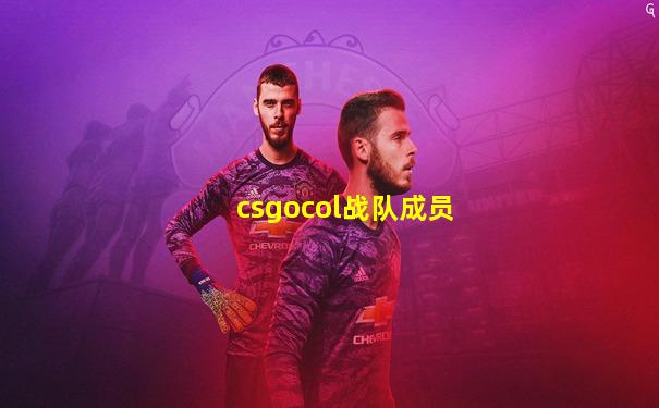 csgocol战队成员
