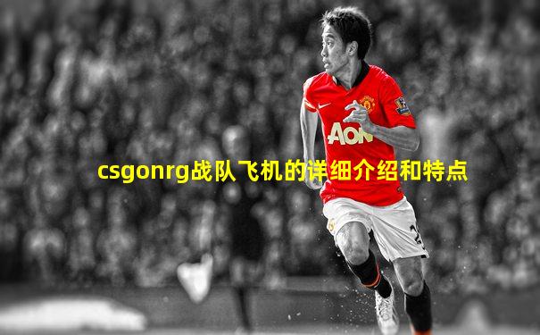 csgonrg战队飞机的详细介绍和特点
