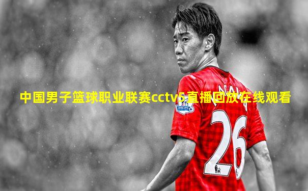 中国男子篮球职业联赛cctv5直播回放在线观看