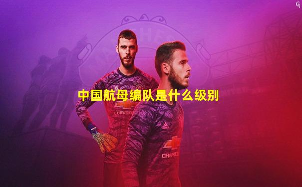 中国航母编队是什么级别