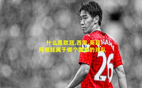 什么是欧冠,西甲,英超阿根廷属于哪个国家的球队