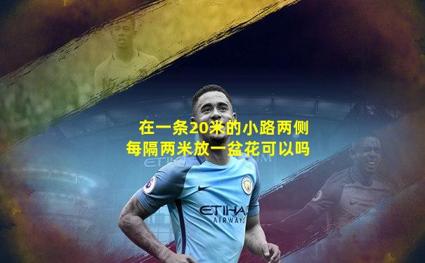 在一条20米的小路两侧每隔两米放一盆花可以吗