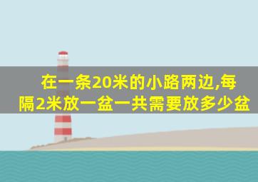 在一条20米的小路两边,每隔2米放一盆一共需要放多少盆