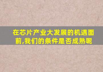在芯片产业大发展的机遇面前,我们的条件是否成熟呢