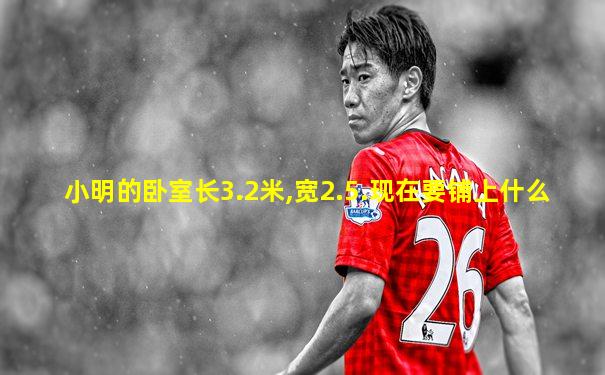 小明的卧室长3.2米,宽2.5.现在要铺上什么