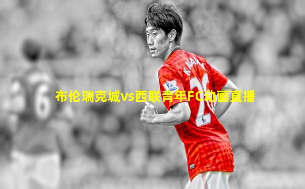 布伦瑞克城vs西联青年FC动画直播