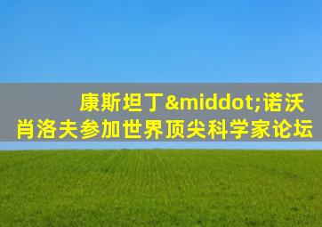 康斯坦丁·诺沃肖洛夫参加世界顶尖科学家论坛