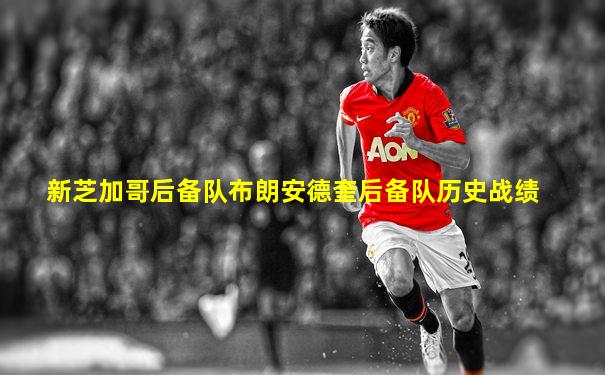 新芝加哥后备队布朗安德奎后备队历史战绩
