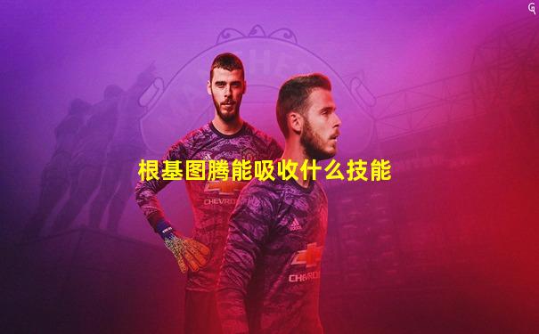 根基图腾能吸收什么技能
