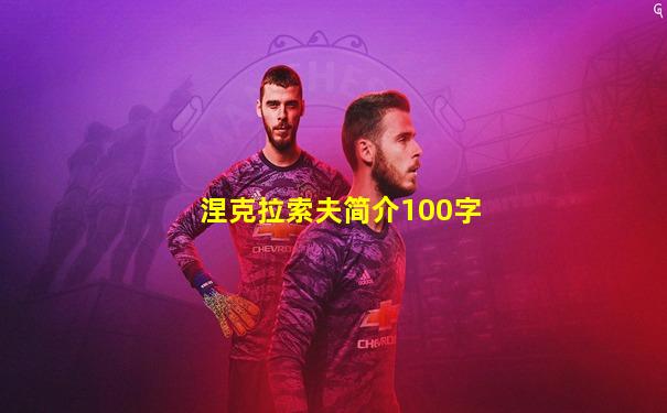 涅克拉索夫简介100字