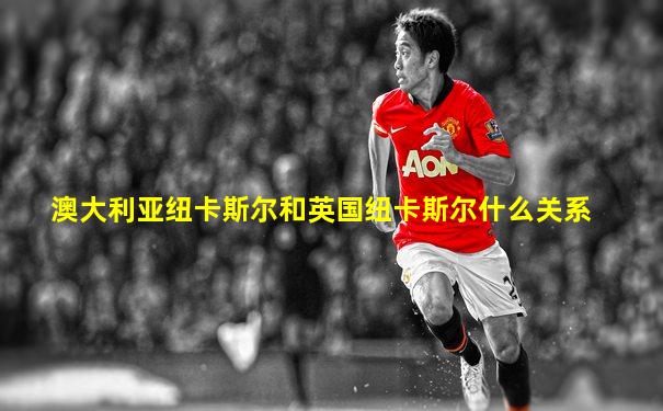 澳大利亚纽卡斯尔和英国纽卡斯尔什么关系