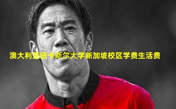 澳大利亚纽卡斯尔大学新加坡校区学费生活费