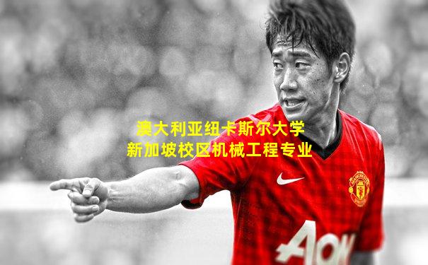 澳大利亚纽卡斯尔大学新加坡校区机械工程专业
