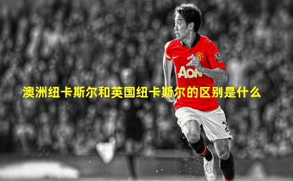 澳洲纽卡斯尔和英国纽卡斯尔的区别是什么