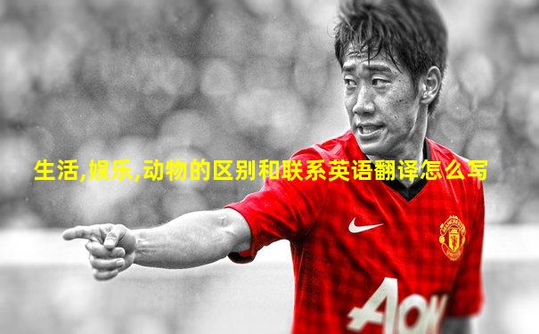 生活,娱乐,动物的区别和联系英语翻译怎么写