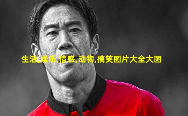 生活,娱乐,情感,动物,搞笑图片大全大图