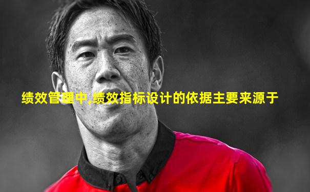 绩效管理中,绩效指标设计的依据主要来源于