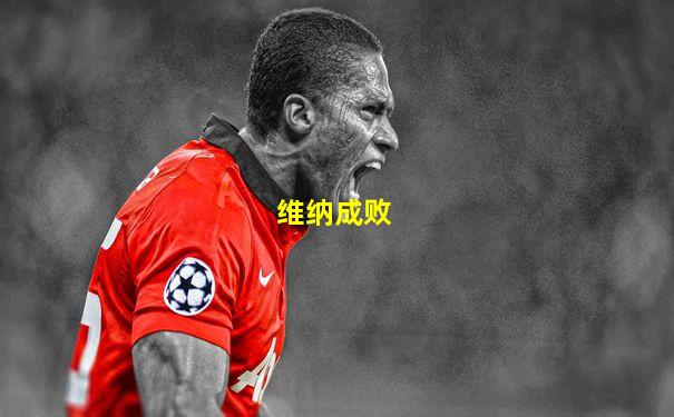 维纳成败