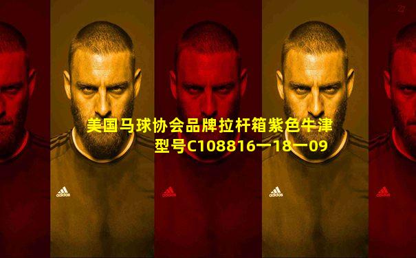 美国马球协会品牌拉杆箱紫色牛津型号C108816一18一09