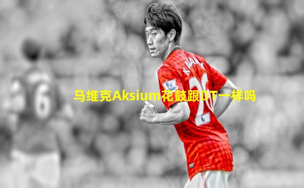 马维克Aksium花鼓跟DT一样吗