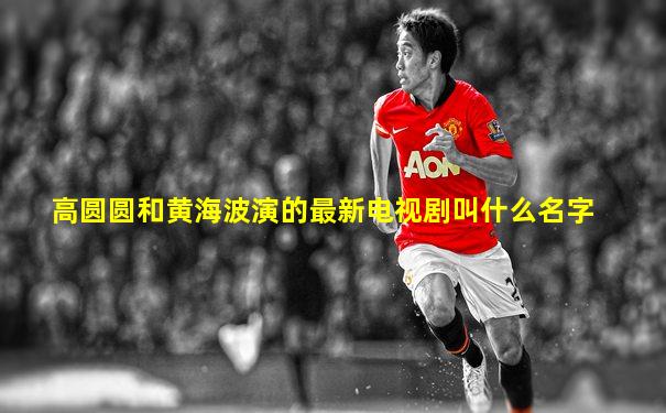 高圆圆和黄海波演的最新电视剧叫什么名字