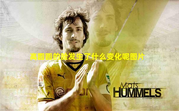 高圆圆的脸发生了什么变化呢图片